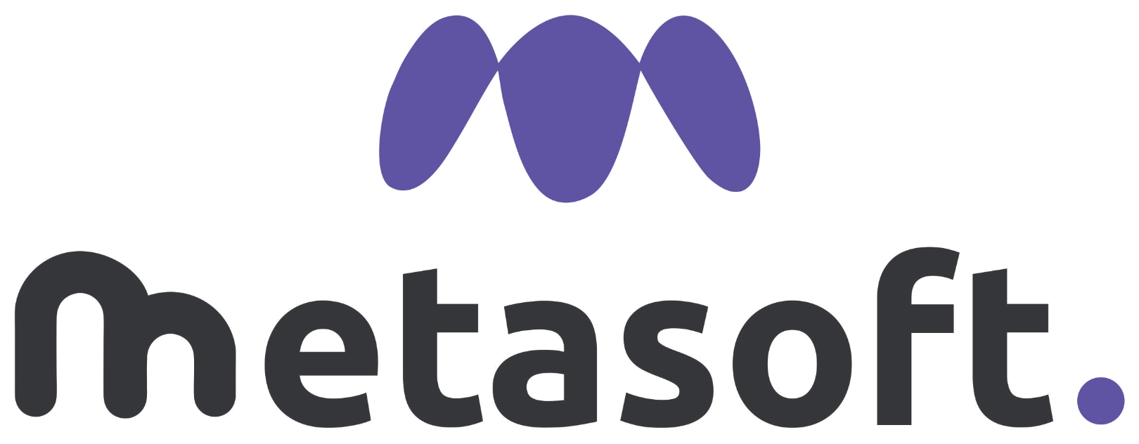 Metasoft Capital
